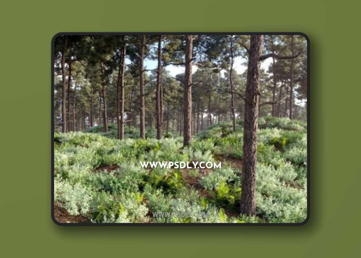 Caledonian Forest Pack 3D Model