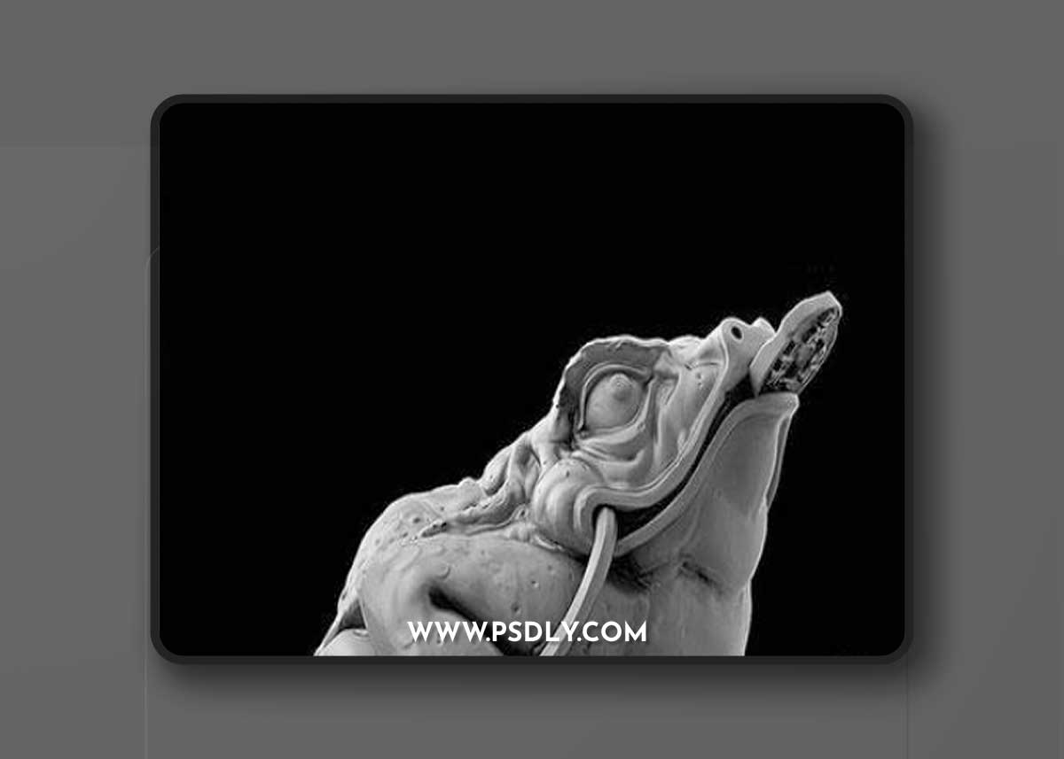 Chinese Feng Shui Simbol Kit 3D Model