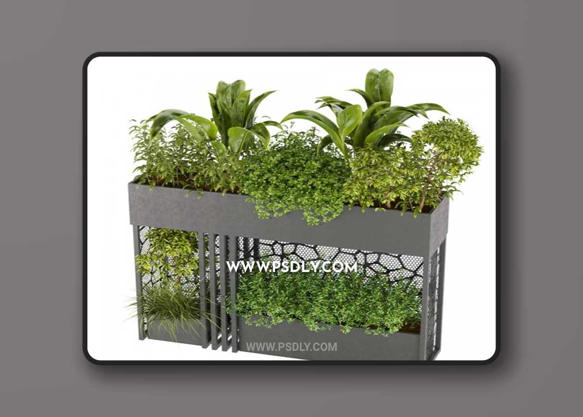 Collection Plant Vol 241 3D Model