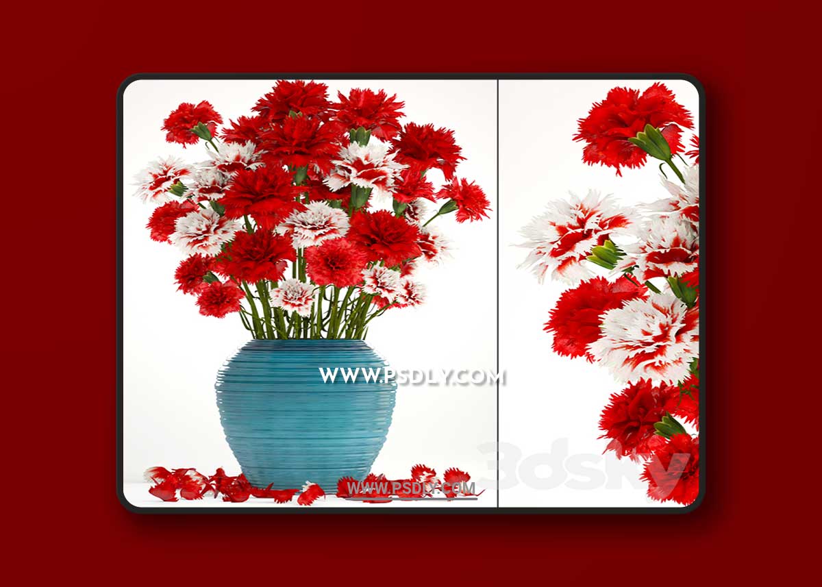 Collection of flowers 13. Carnation 3D Model