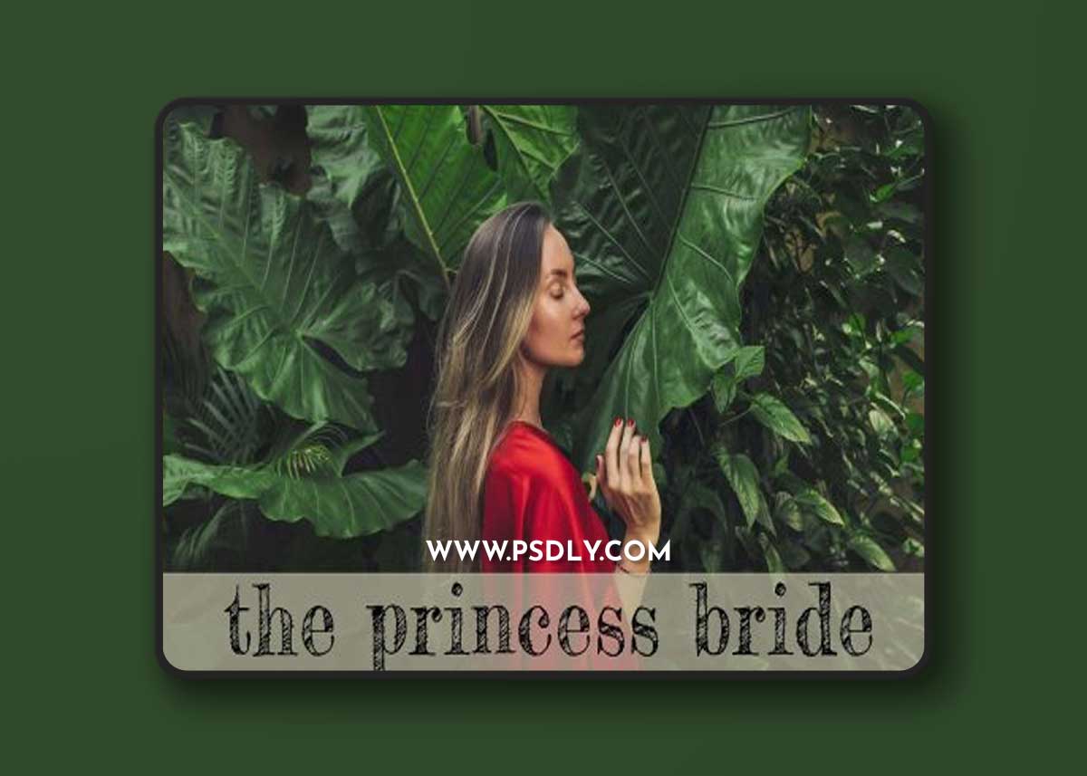 CreativeMarket - Princess Bride Lightroom Presets 7277159