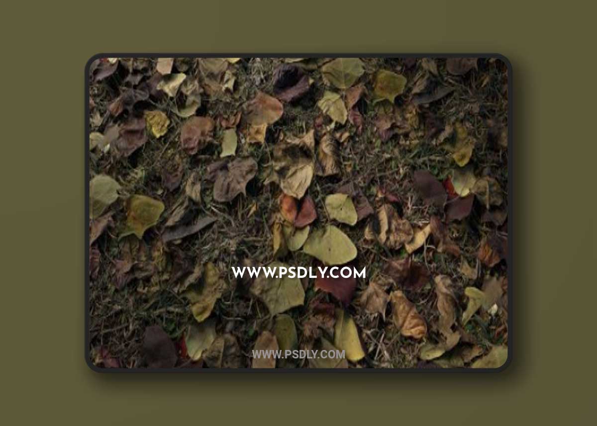 Debris Nature 03 PBR Material 3D Model