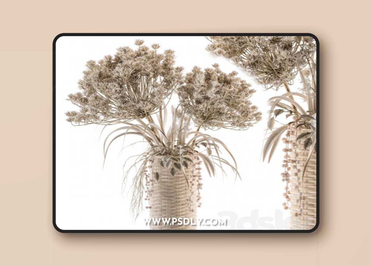 Dry plants 22 - dried Bouquet in Wicker Basket Vase 3D Model