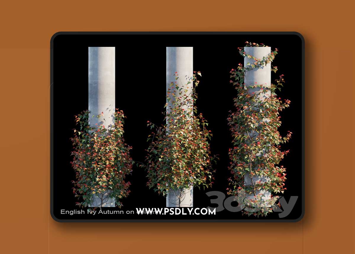English Ivy Autumn on column 3D Model