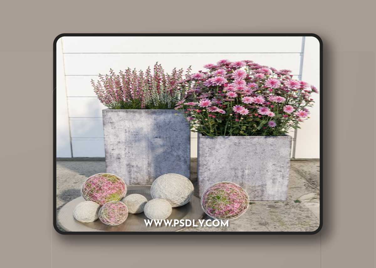 Flowers decor set model 3D Model