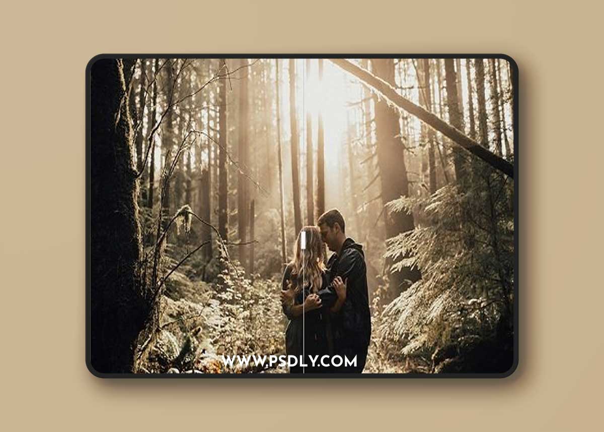 India Earl Lightroom Presets Collection