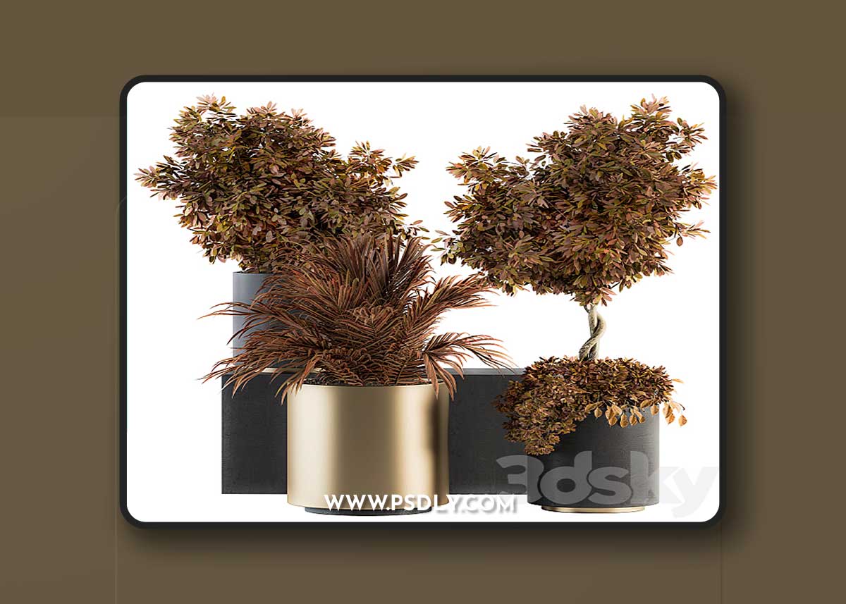 Indoor Plant Set 91 – Black and Gold (Red Plant)