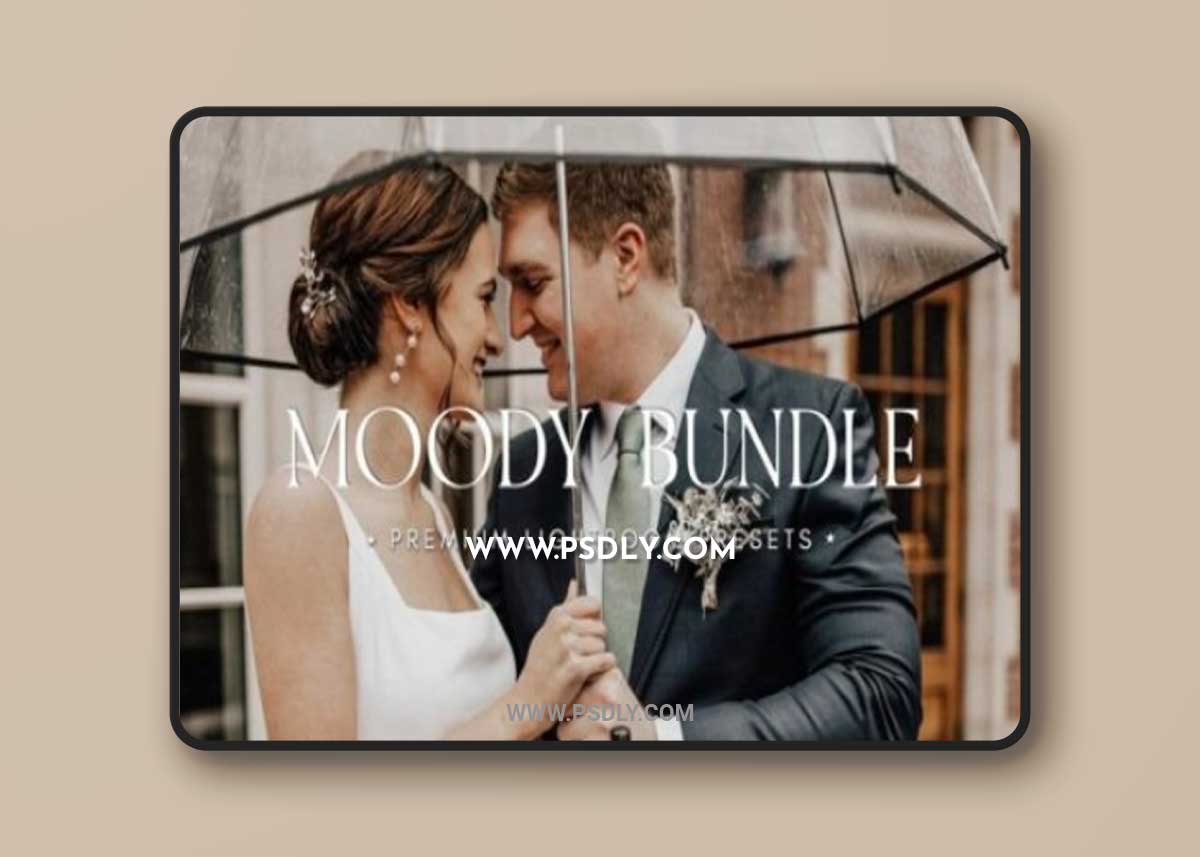 MOODY BUNDLE Portrait Lightroom Presets