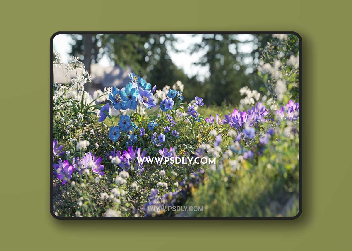 Maxtree - Plant Models Vol 91 3D Model