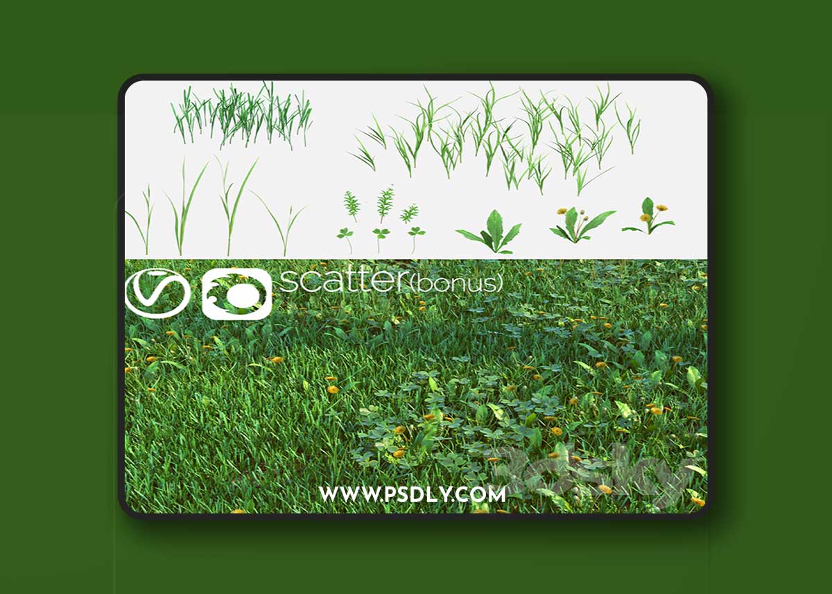 Set for the creation of field grass and lawns 3D Model