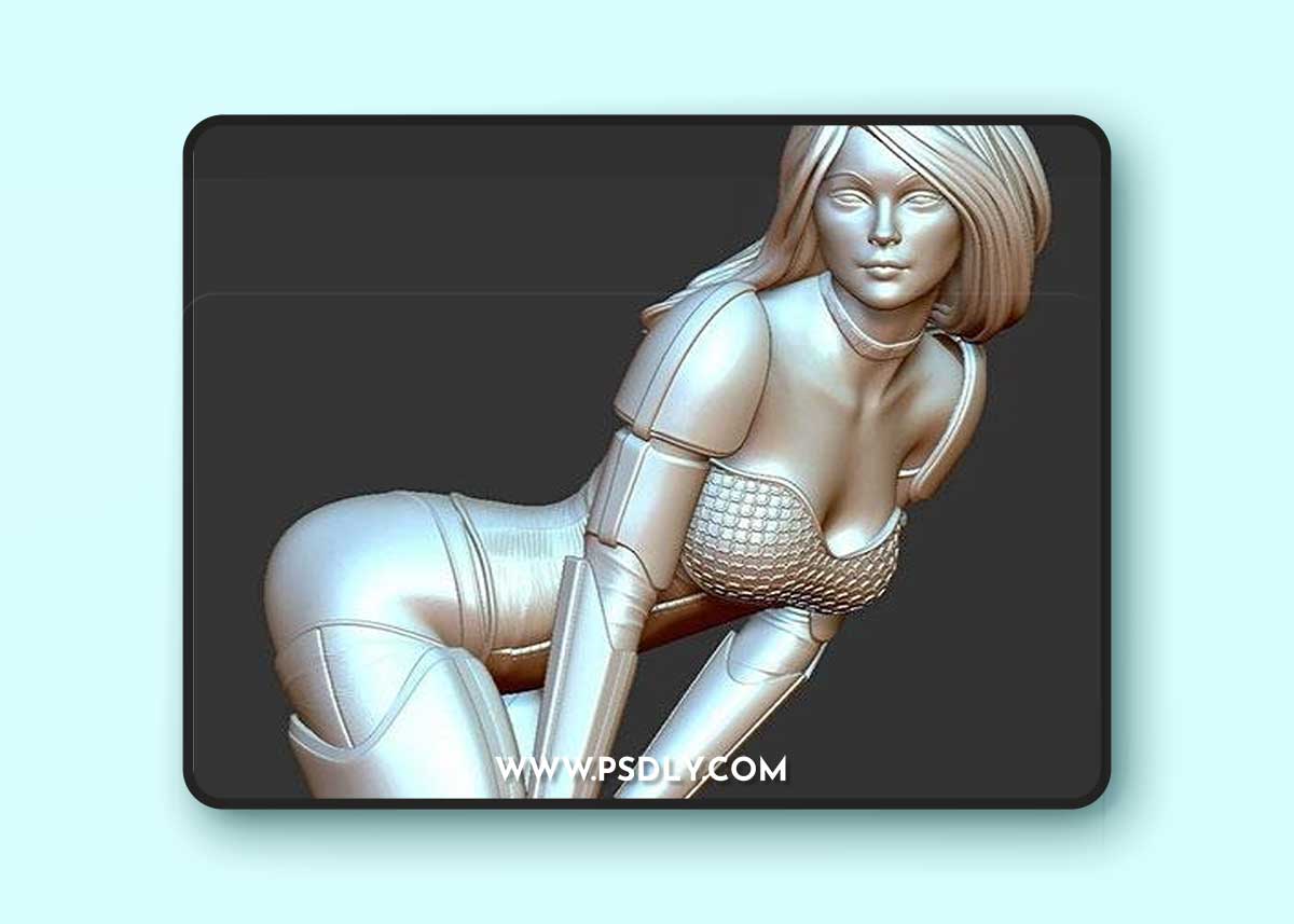 Sexy Storm Trooper 3D Print Model