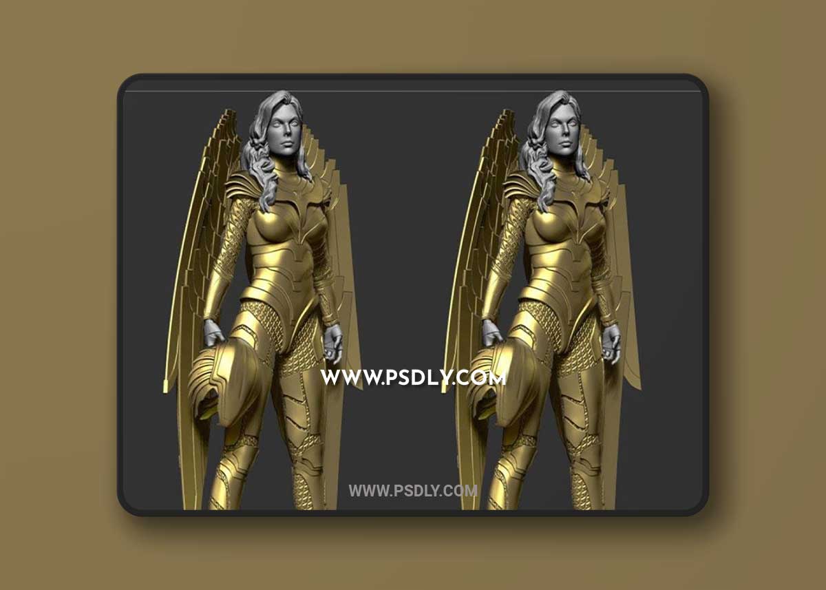 Wonder Woman 1984 3D Print Model