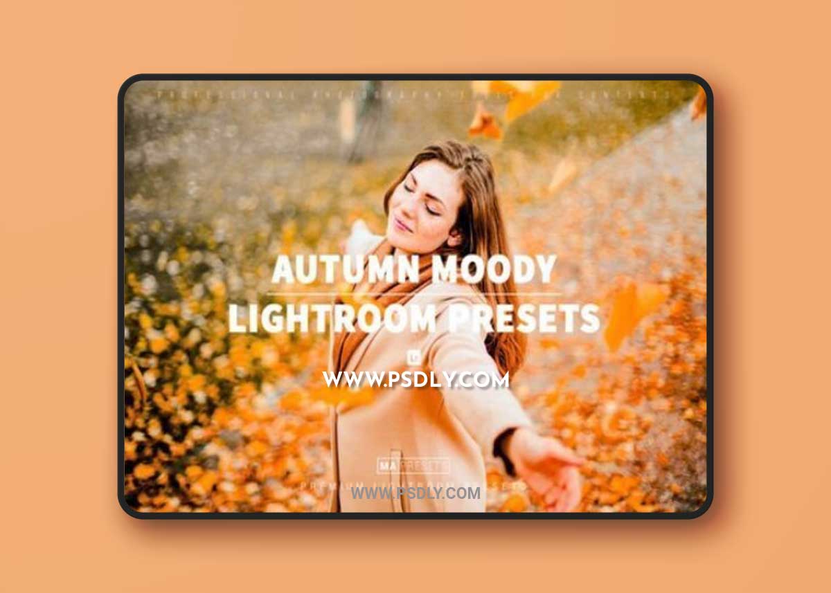 10 AUTUMN MOODY Lightroom Presets