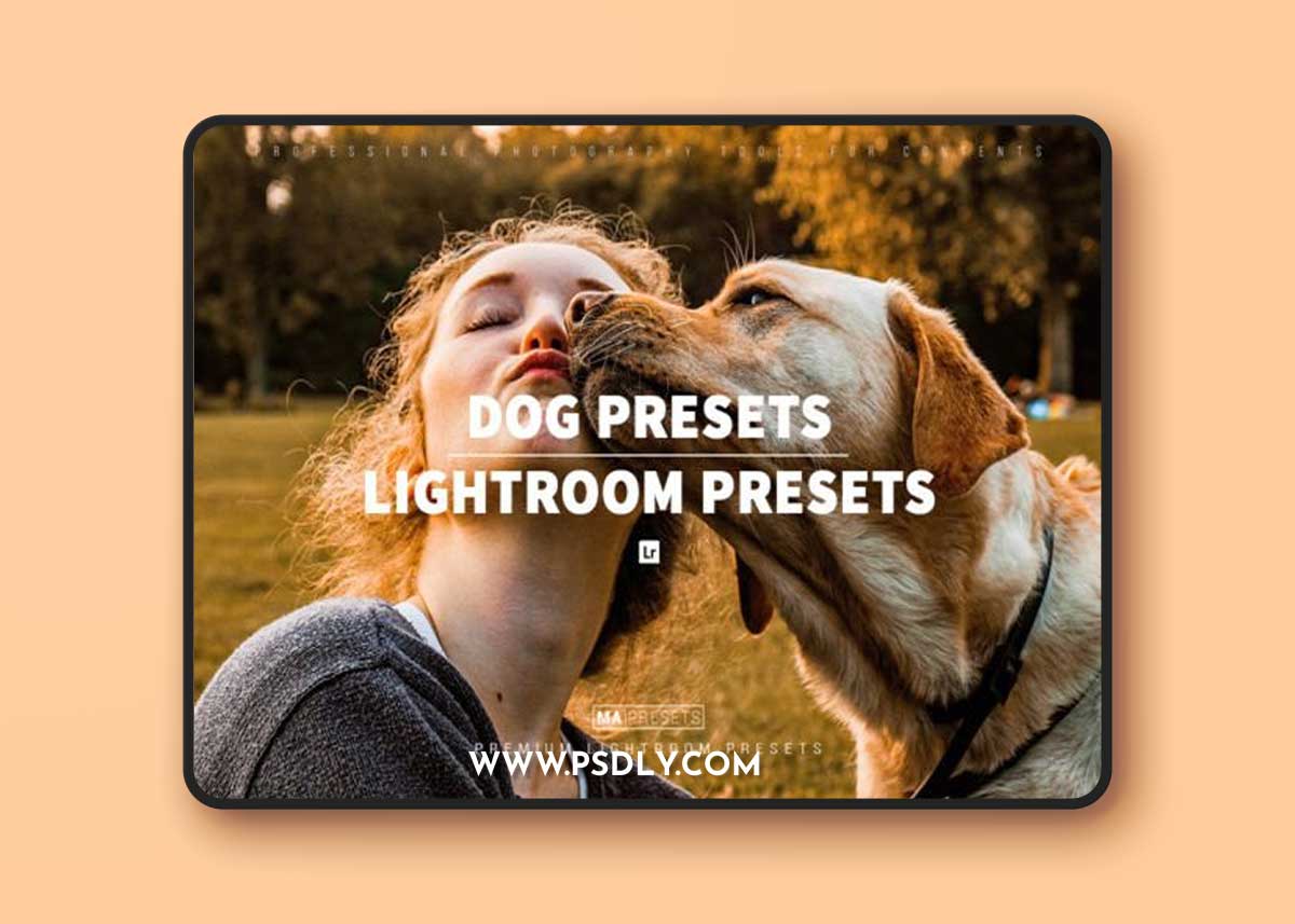 10 DOG Lightroom Presets