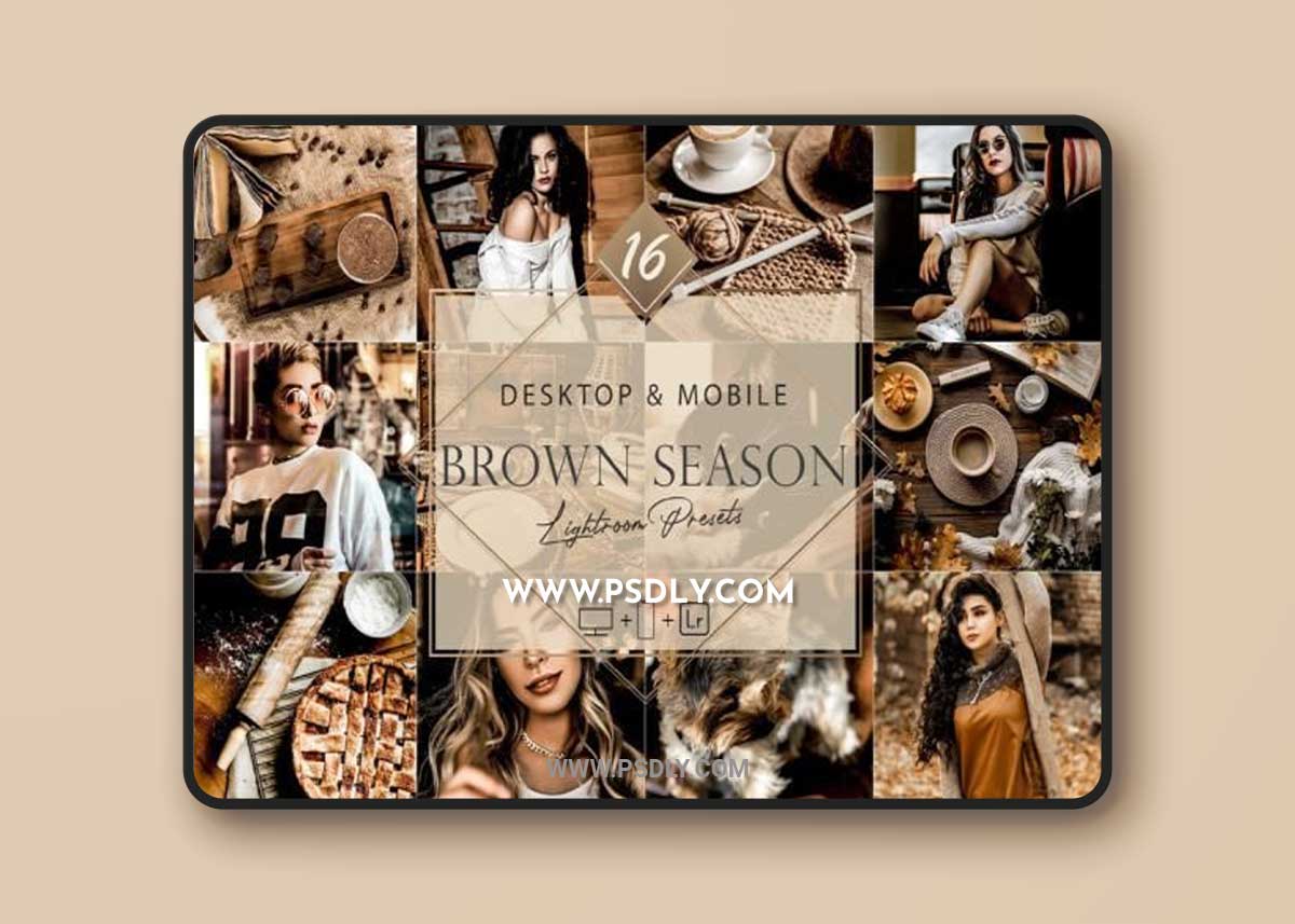 16 Brown Season Lightroom Presets, Moody