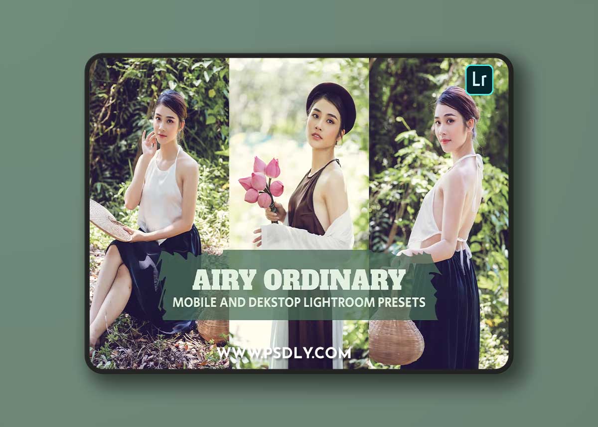 Airy Ordinary Lightroom Presets Dekstop and Mobile