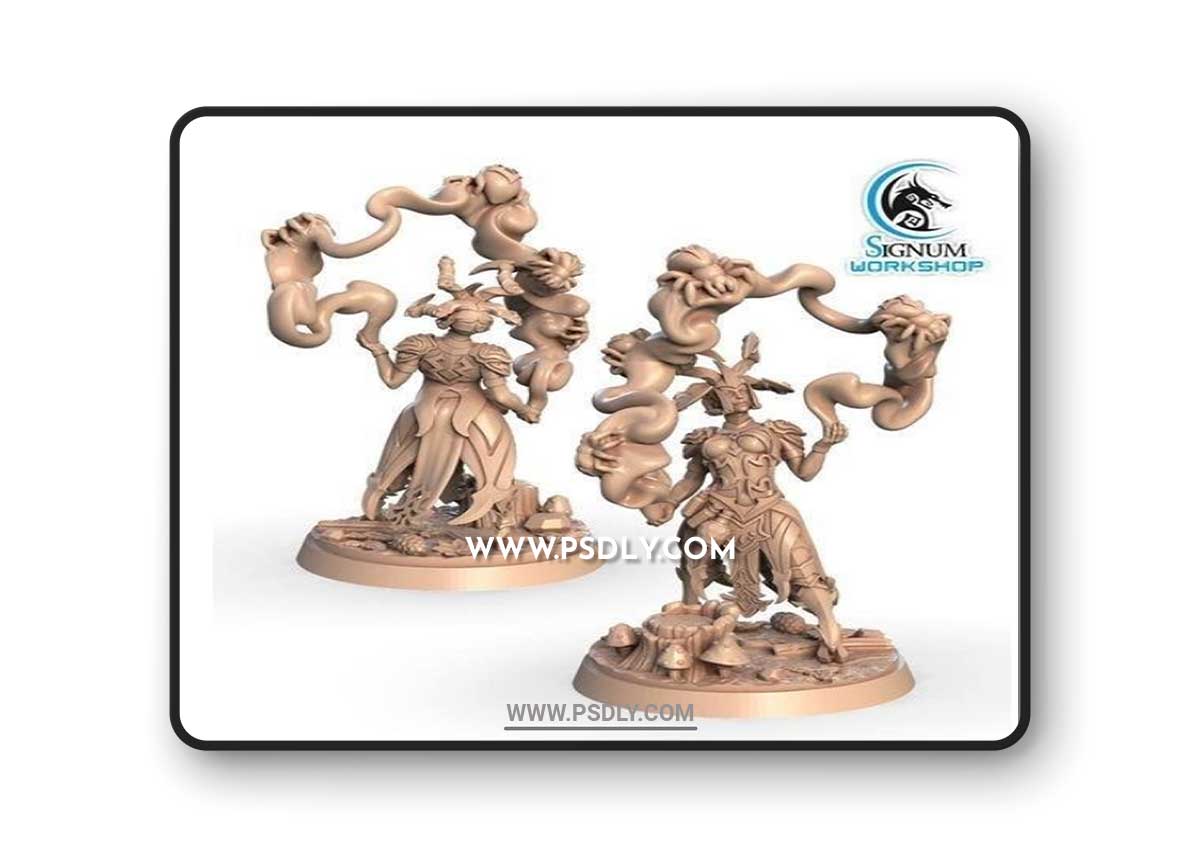 Akkari Spider Elves 3D Model