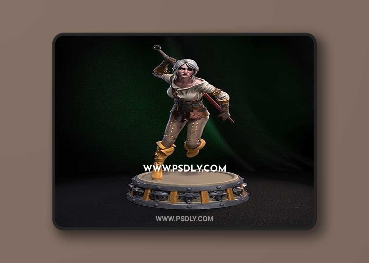 Ciri The Witcher 3D STL 3D Model