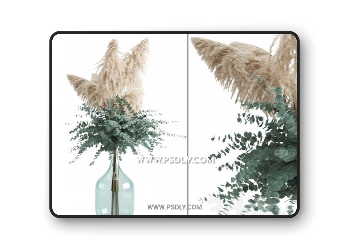 Cortaderia and eucalyptus in a large bottle