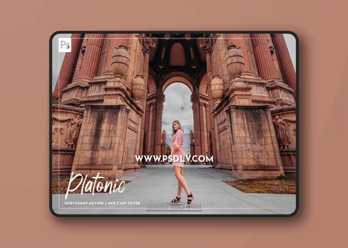 CreativeMarket - 10 Platonic Ps, ACR, LUTs Filter 6017082