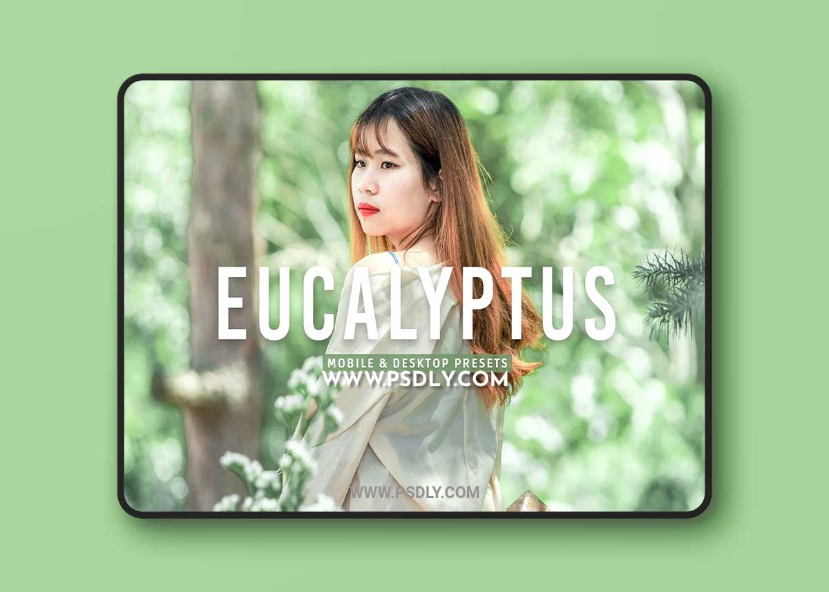 CreativeMarket - Eucalyptus Pro Lightroom Presets 7375252