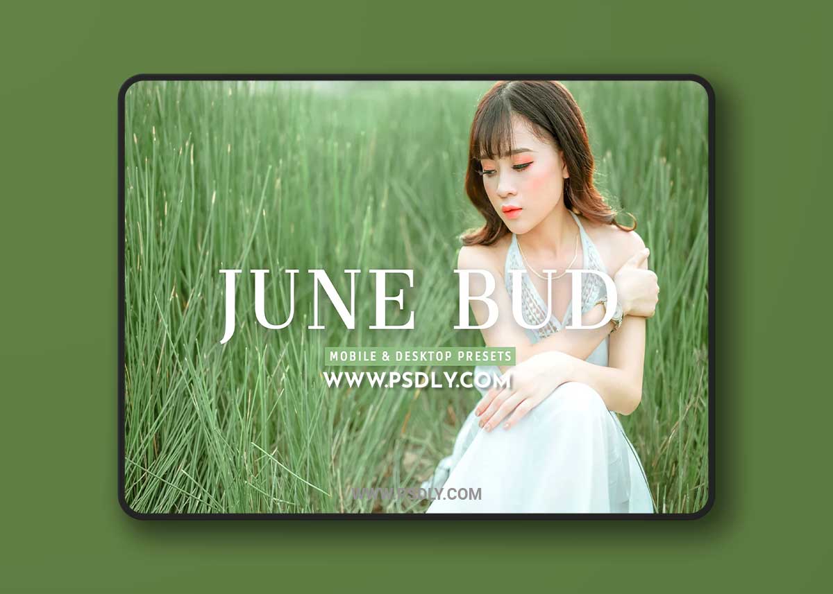 CreativeMarket - June Bud Pro Lightroom Presets 7375260
