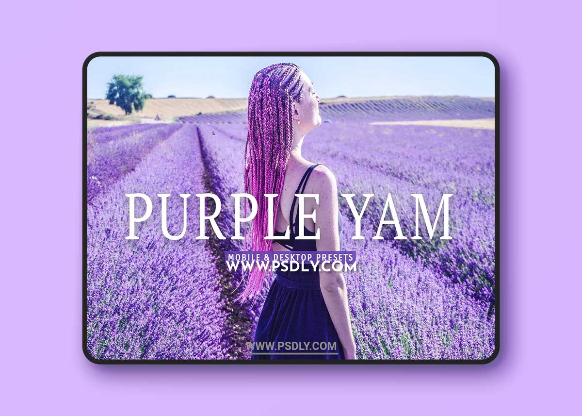 CreativeMarket - Purple Yam Pro Lightroom Presets 7382520