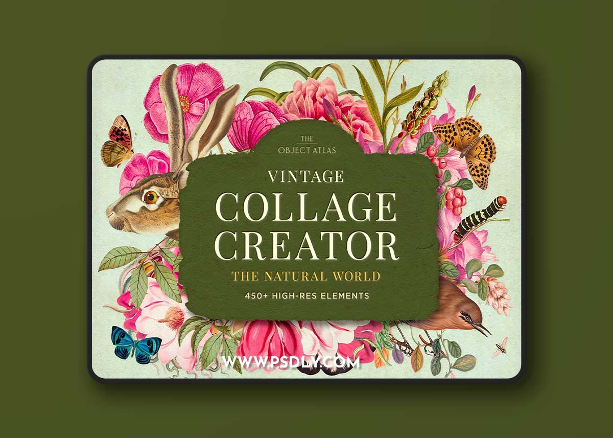 CreativeMarket - Vintage Nature Collage Creator - 6651389