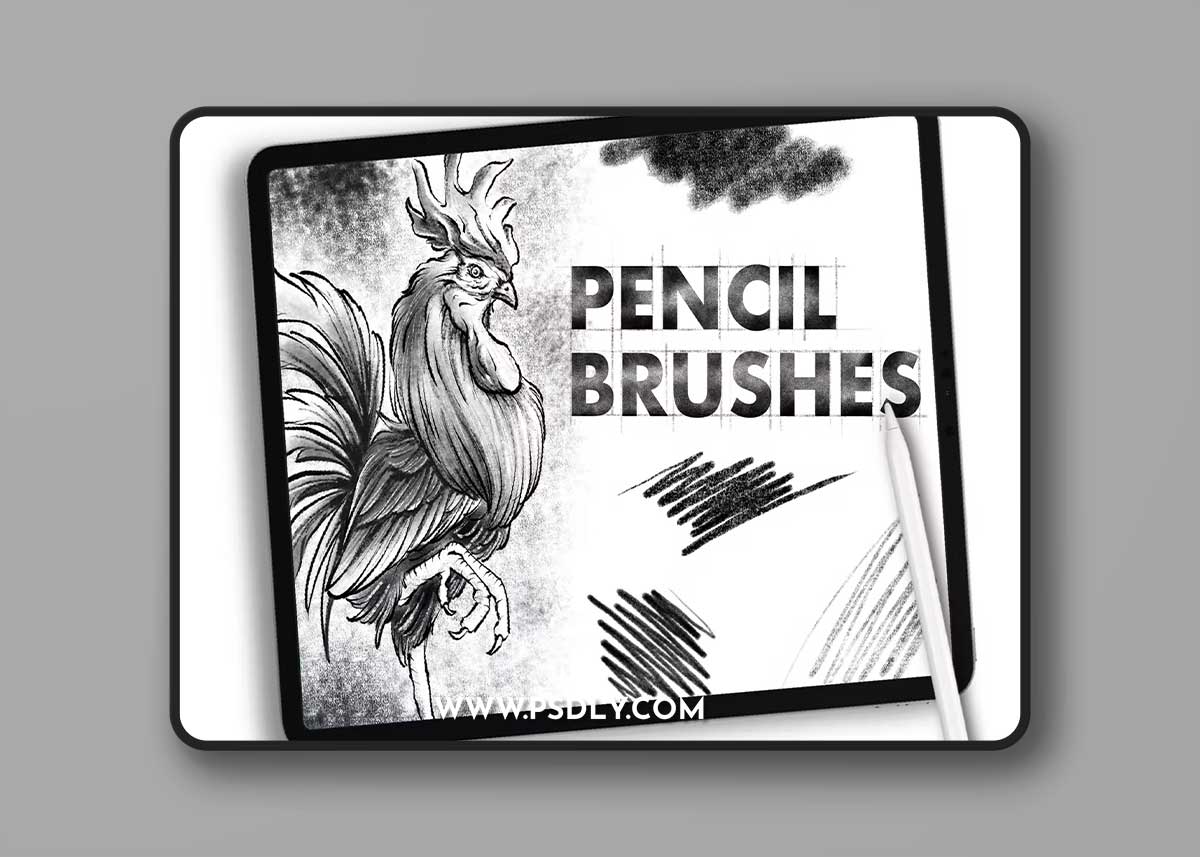 Dans Pencil Brush Procretae #1 KXP3SJH