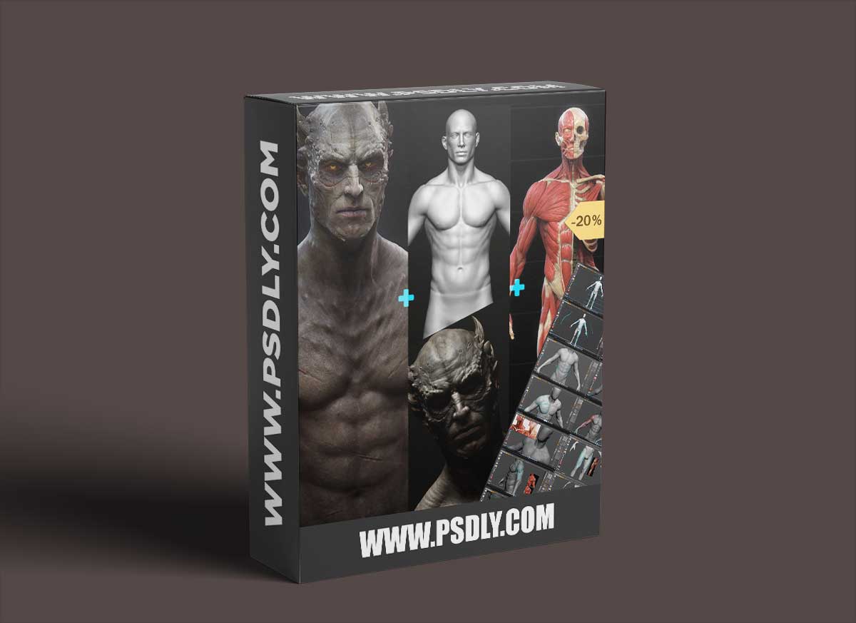 Design And Anatomy Package