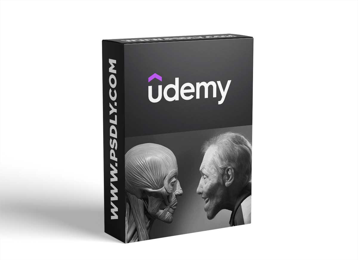 Facial Anatomy & Character Portrait for Blender Artists