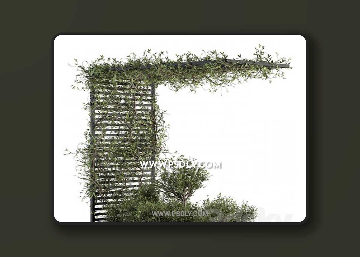 Garden set ivy and Bush - Garden Set 13