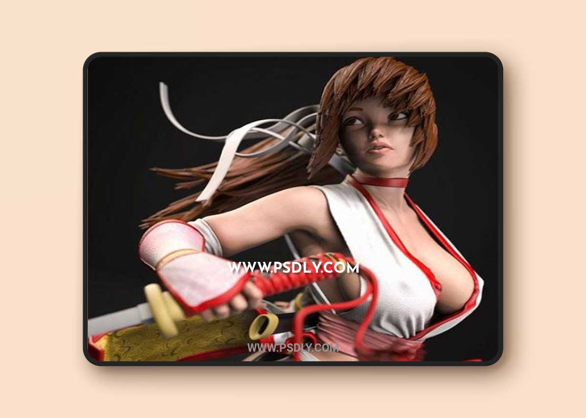 Kasumi - Dead Of Alive 3D STL 3D Model
