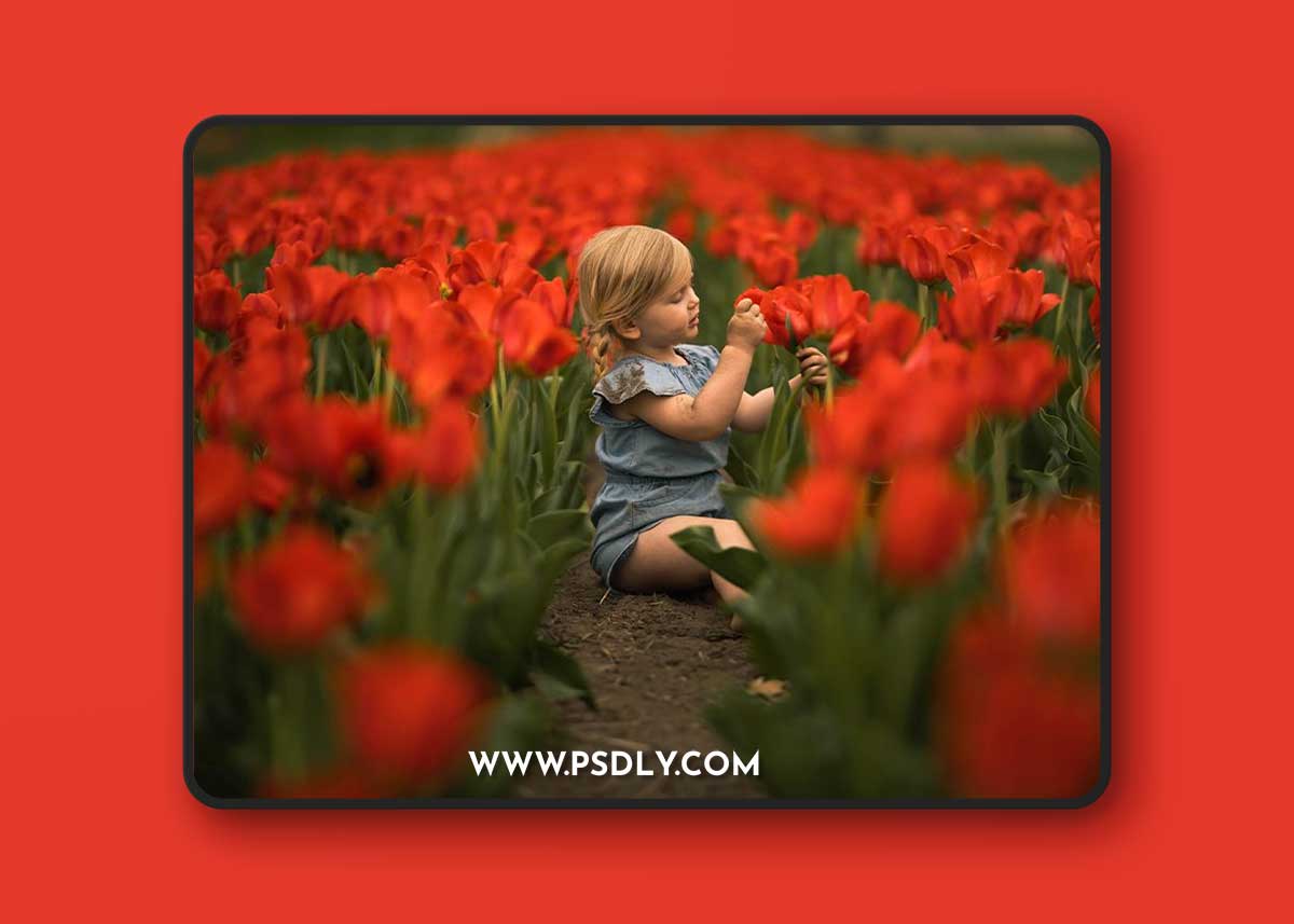 Meridian Presets NATURA PRESETS