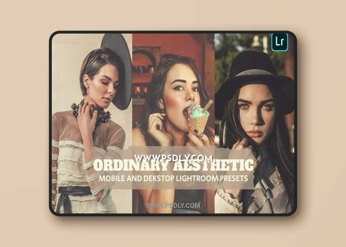 Ordinary Aestheti Lightroom Presets Dekstop Mobile