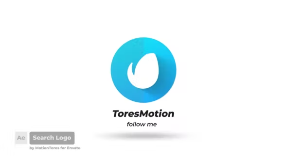 Videohive - Search Logo After Effects - 20941354