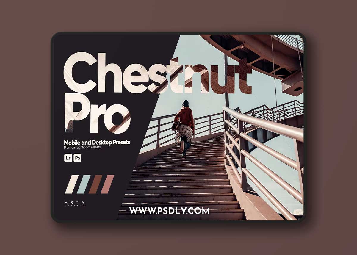 ARTA - Chestnut Pro Presets for Lightroom 5N5G37W