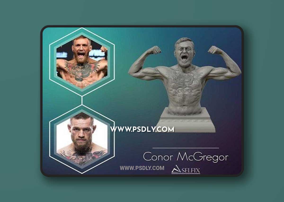 Conor McGregor 3D Print 3D Model