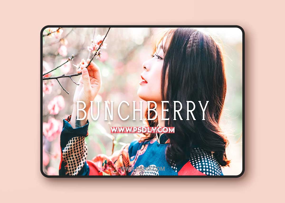 CreativeMarket - Bunchberry Pro Lightroom Presets 7469777