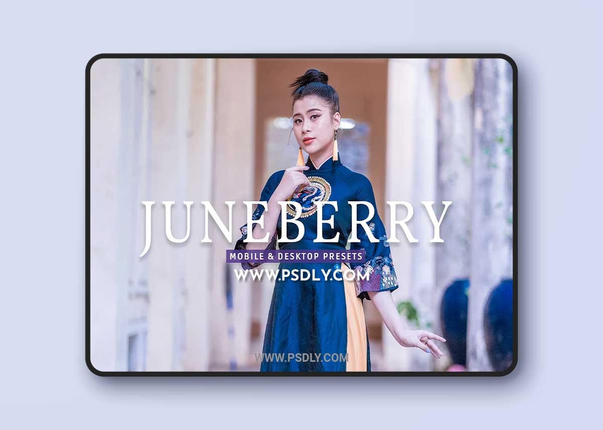 CreativeMarket - Juneberry Pro Lightroom Presets 7473583