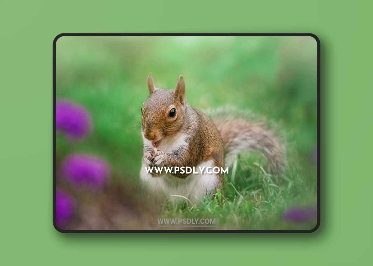 Greater than Gatsby - The Fur and Feathers Collection