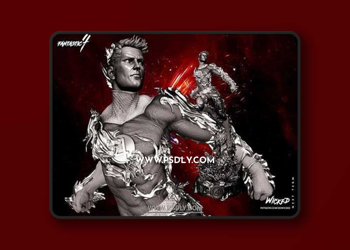 Johnny Storm 3D Print 3D Model