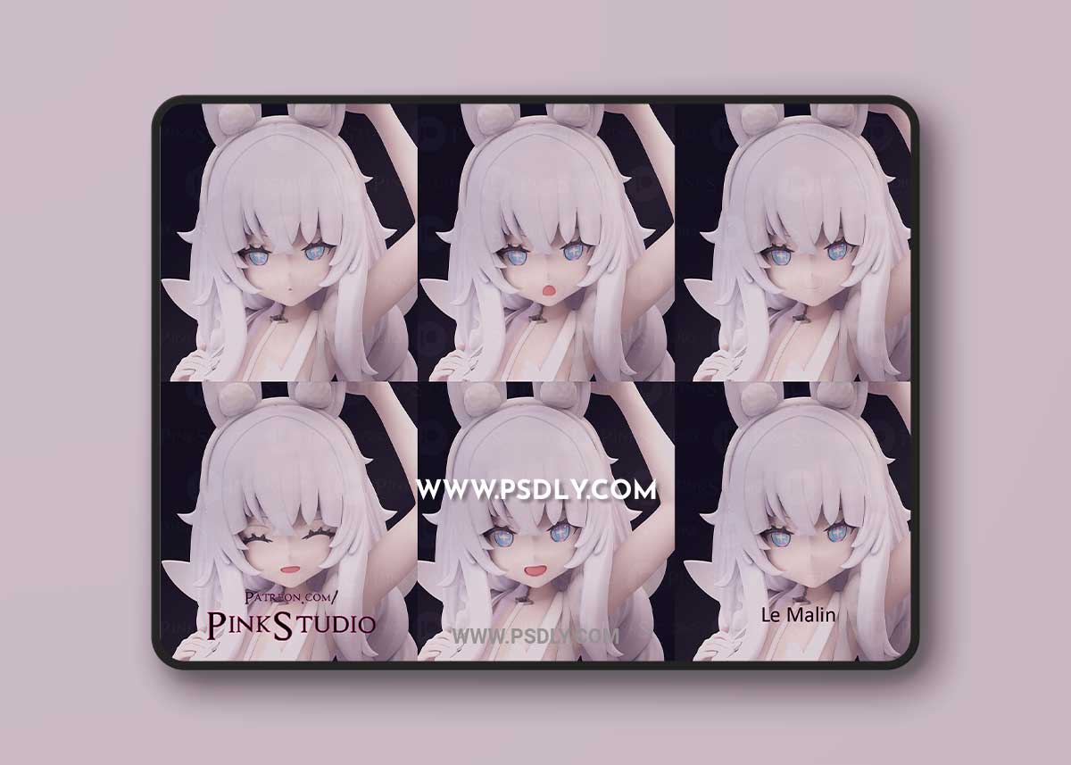 Le Malin - Pink Studio 3D Model