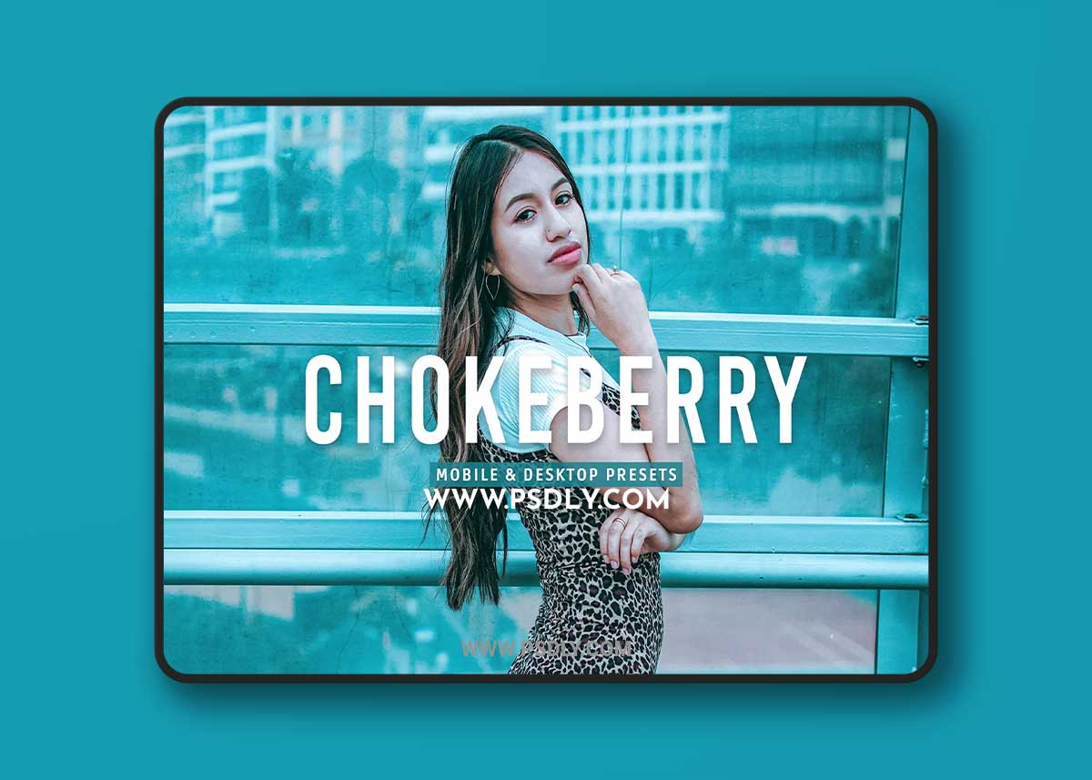 CreativeMarket - Chokeberry Pro Lightroom Presets 7469780
