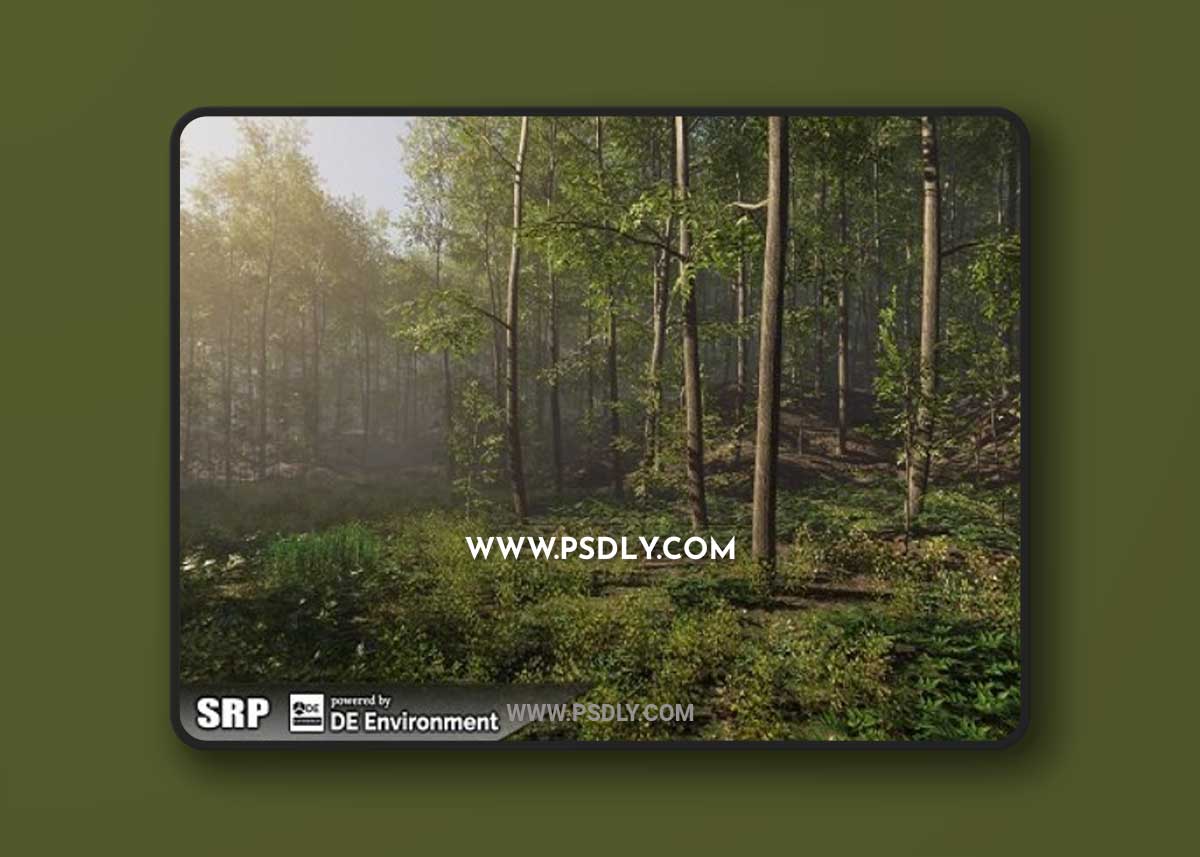 Unity Asset - Nature Package - Forest Environment