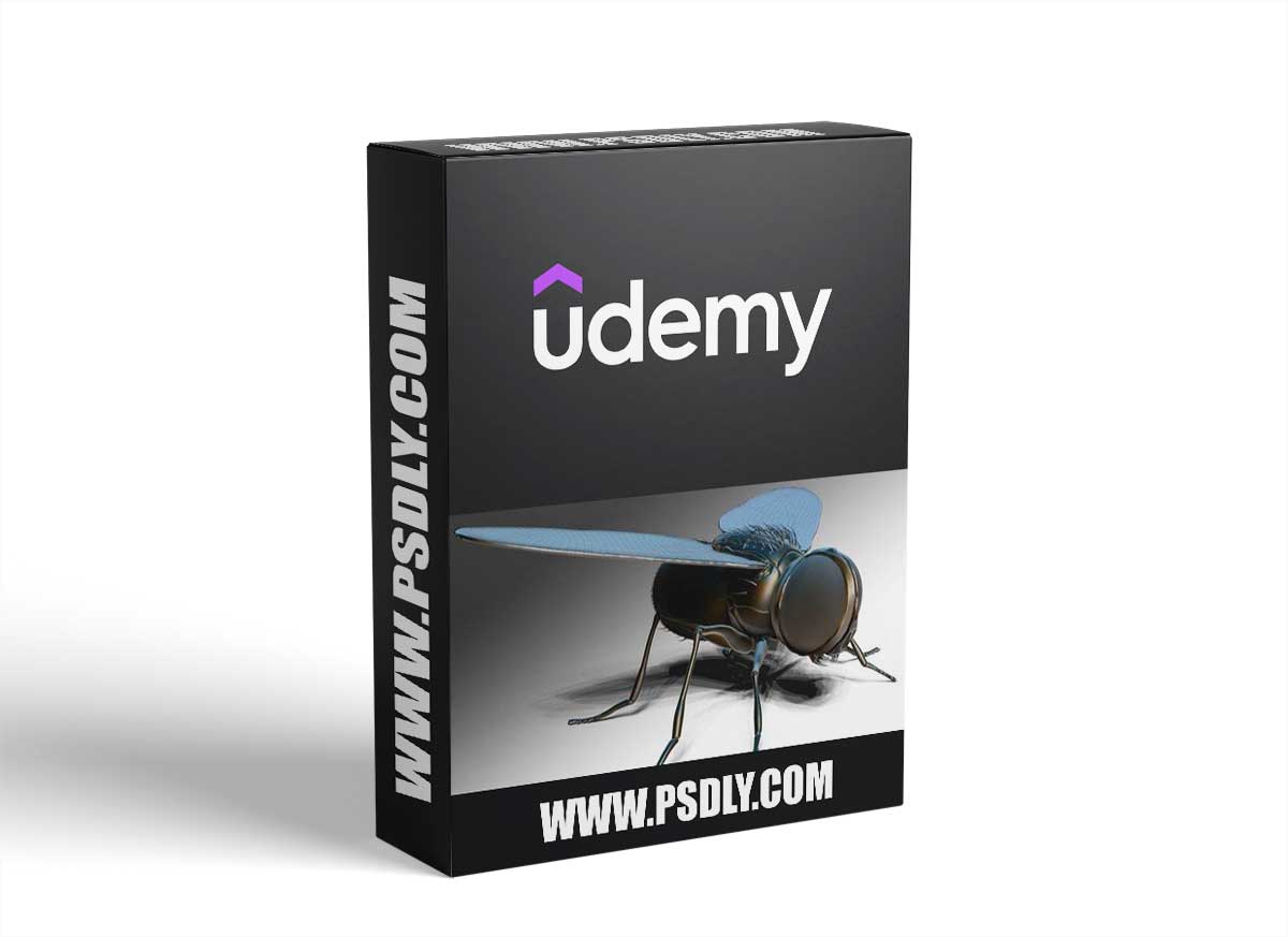 Zbrush Online Course Sculpting And Modelling "The Fly"