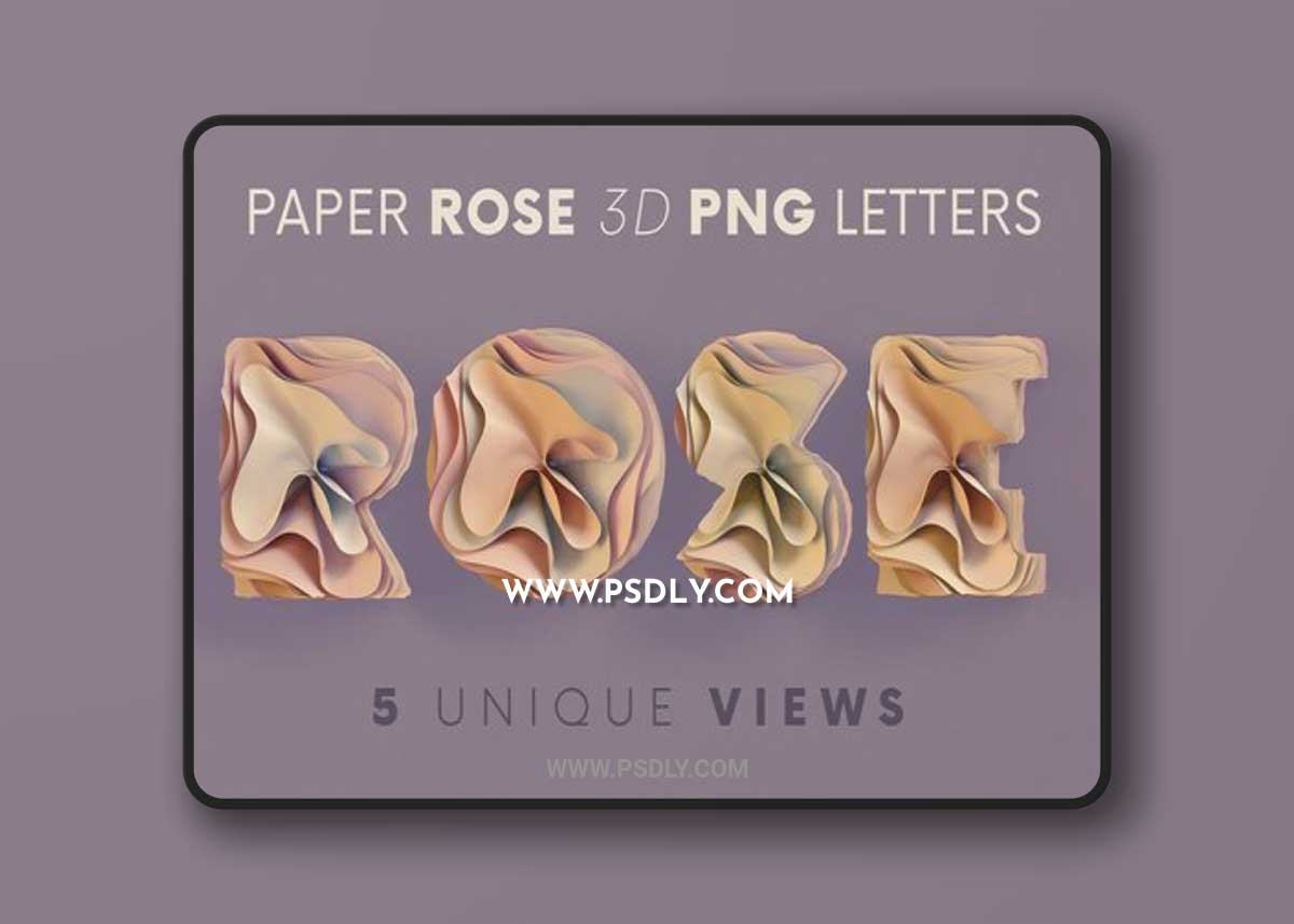 CreativeMarket - Paper Rose - 3D Lettering 7810487