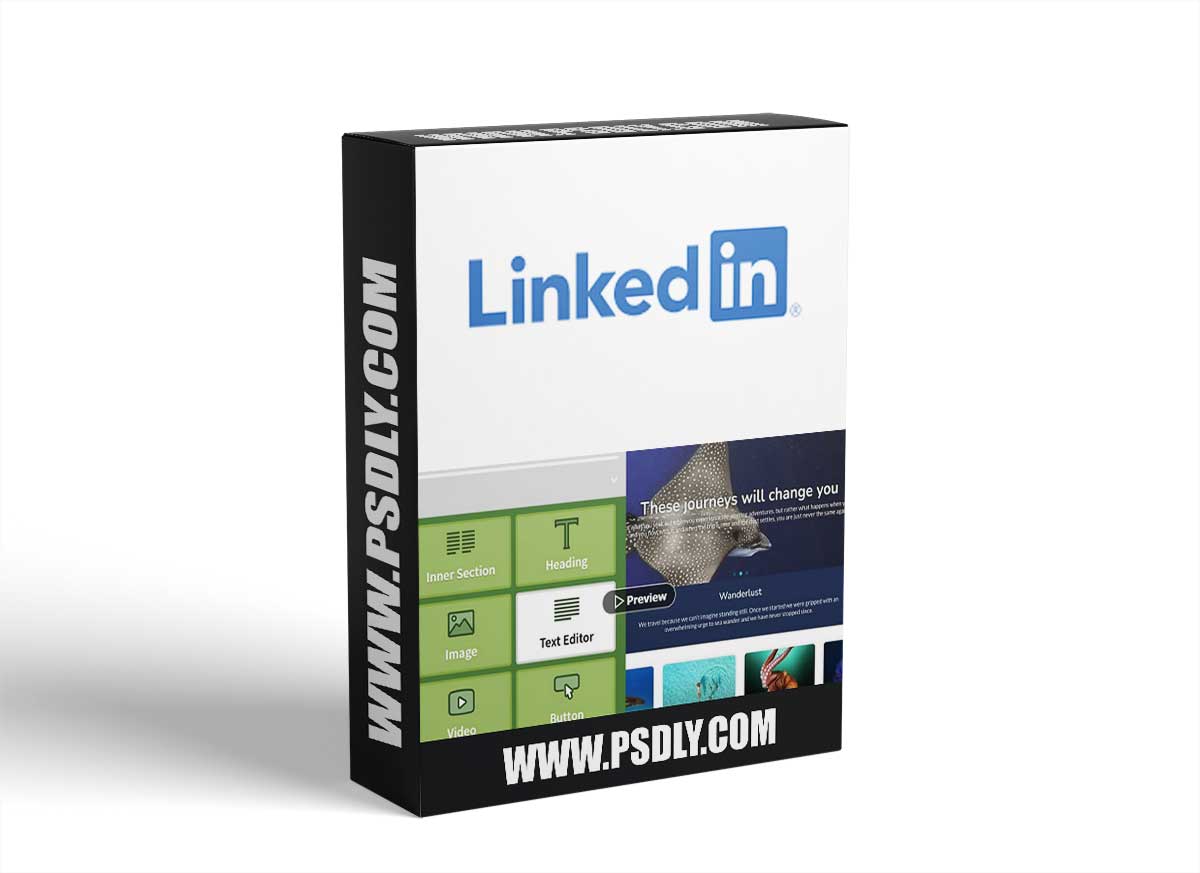 Custom Theme Building with Elementor Pro