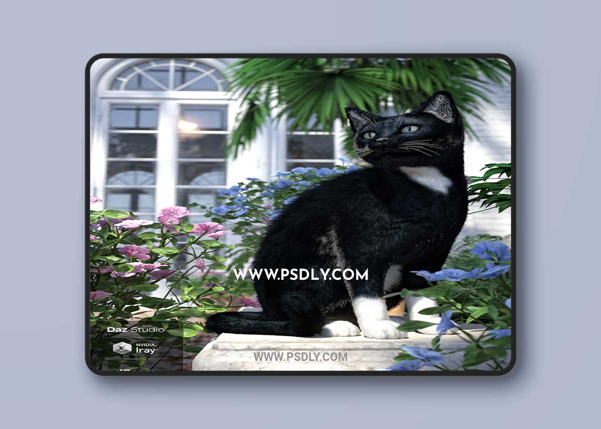 Daz House Cat with dForce Hair 3D Model