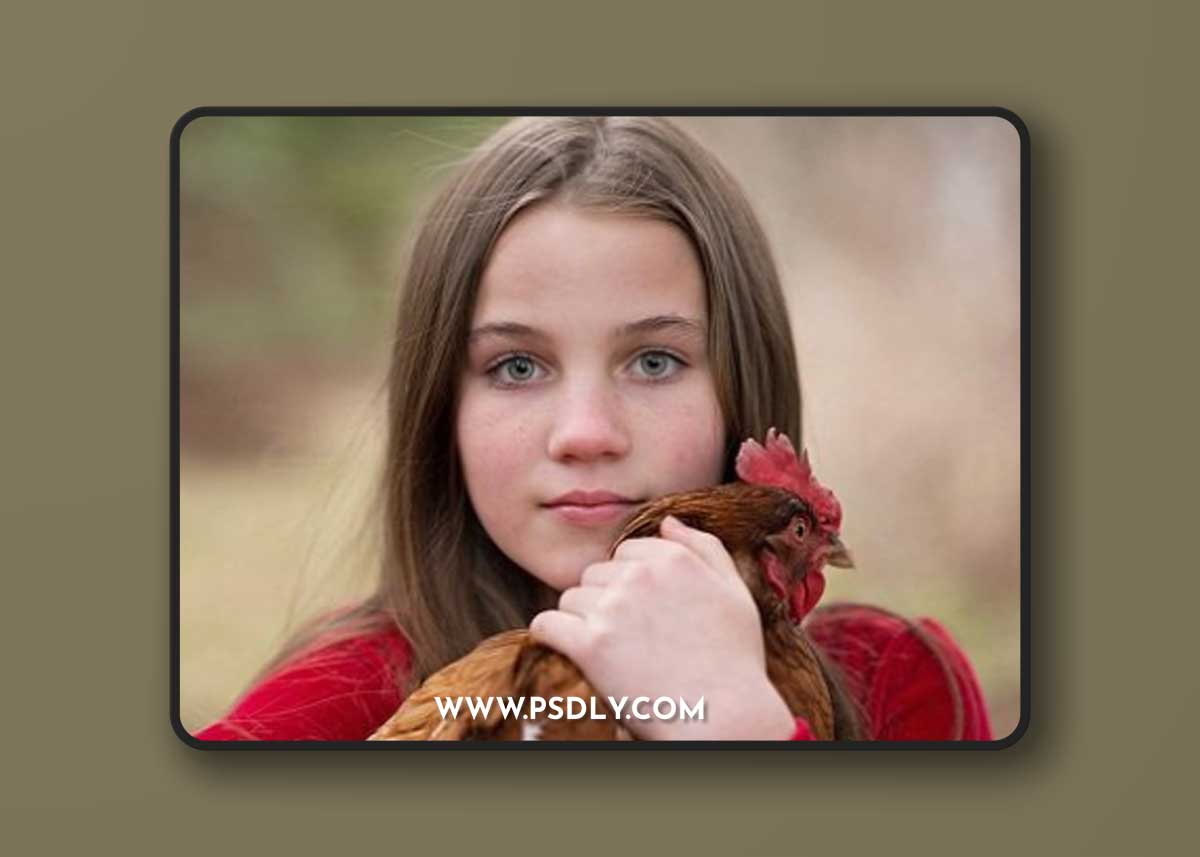 Luminous Collection Lightroom Presets Bokeh, Sun Flare and Haze